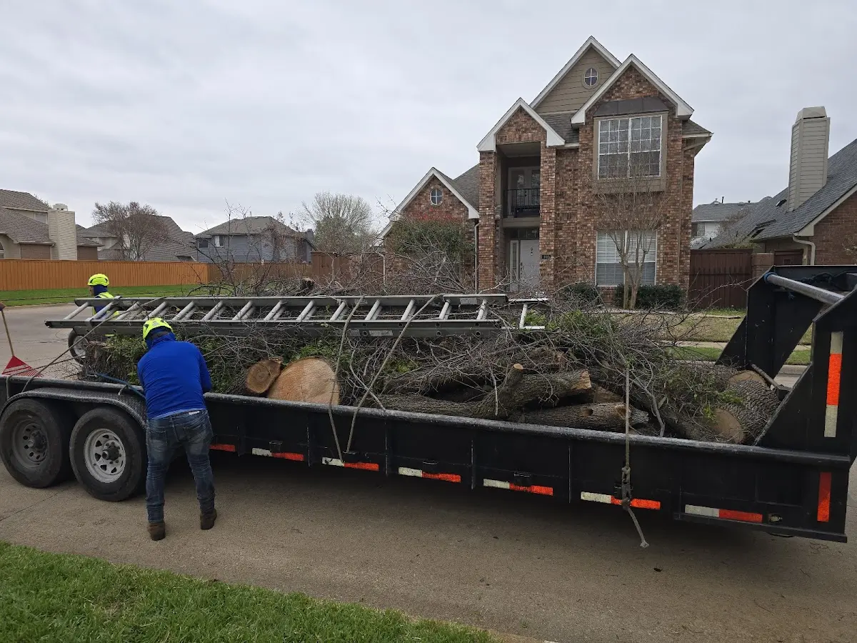 Expert Tree Removal with proper safety equipment in Edmonson